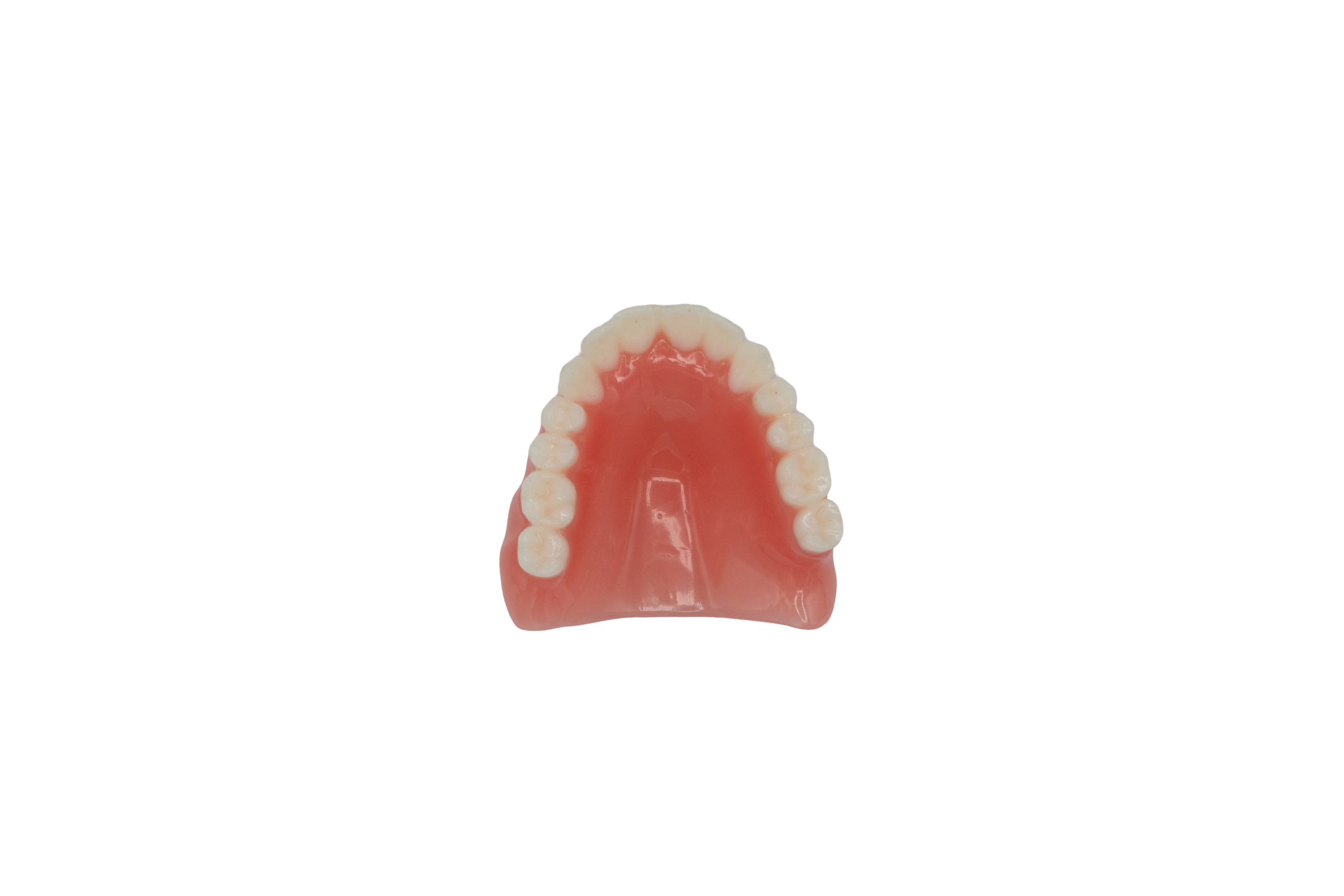 Lucitone 199 Denture Material
